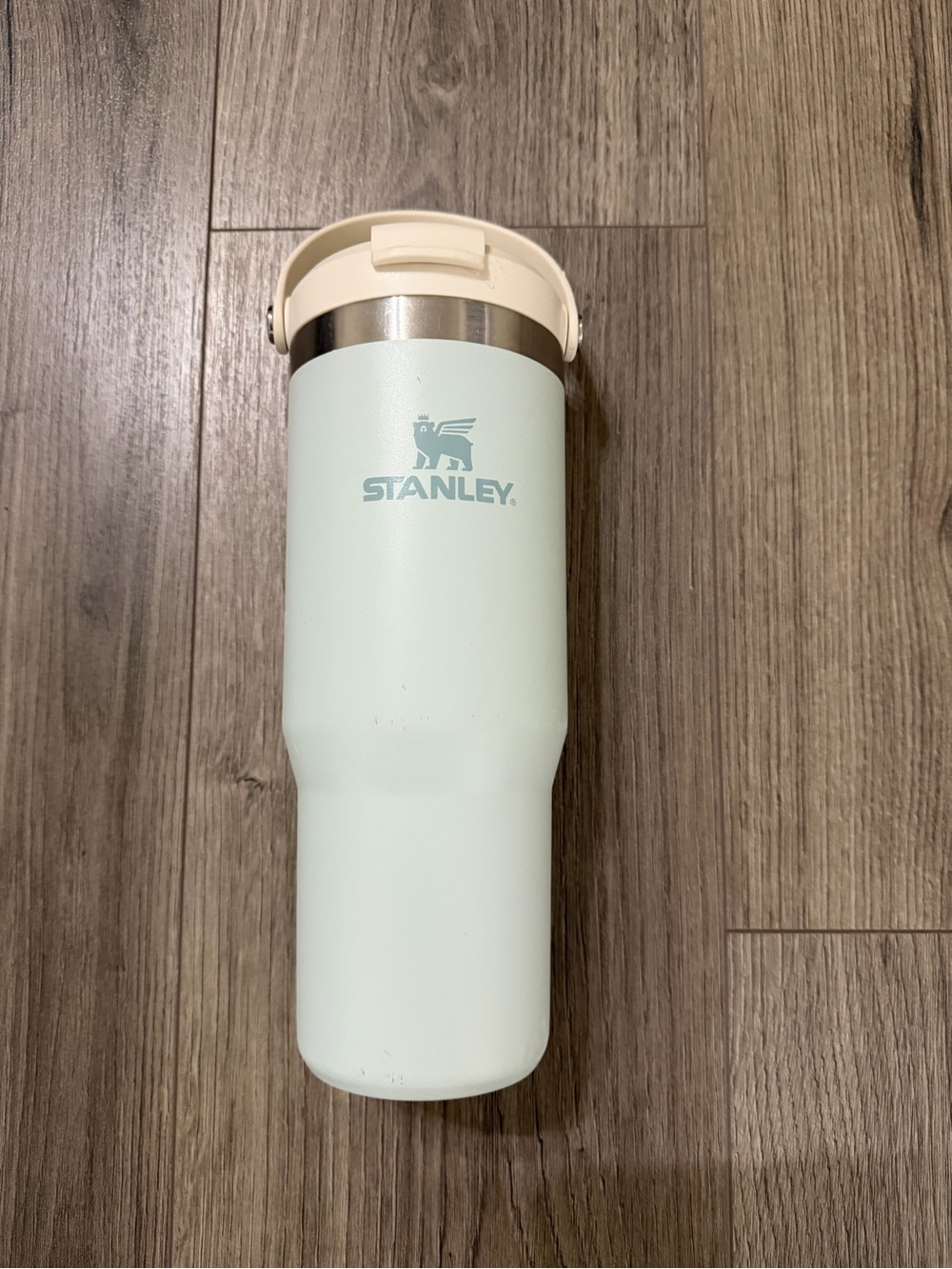 Stanley Pale Mint Green Insulated Tumbler with Cream Lid